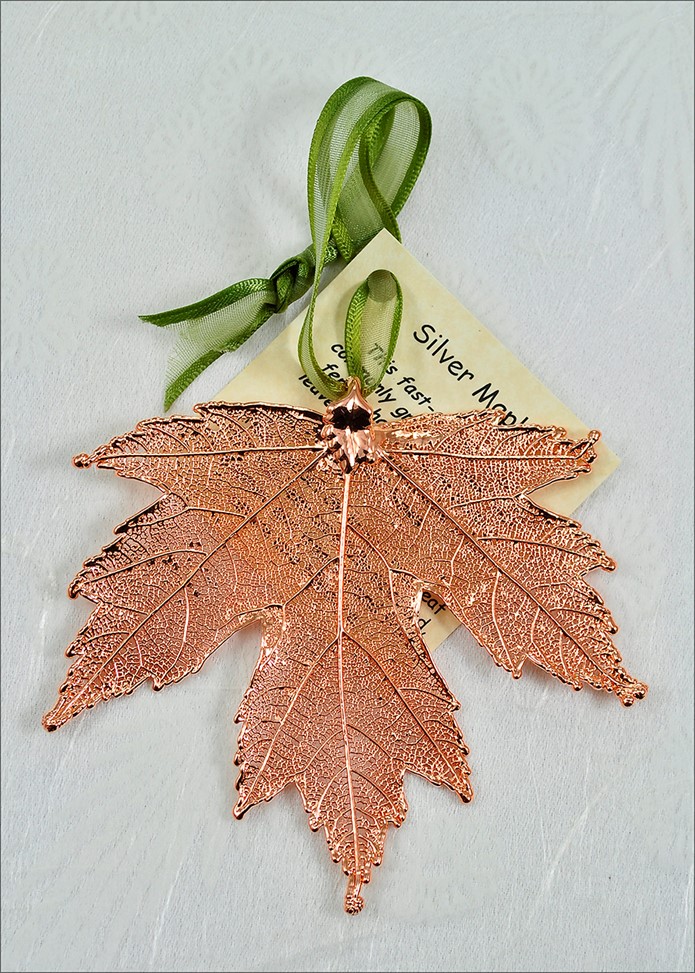 Real Leaf Ornaments Silver Maple Ornament